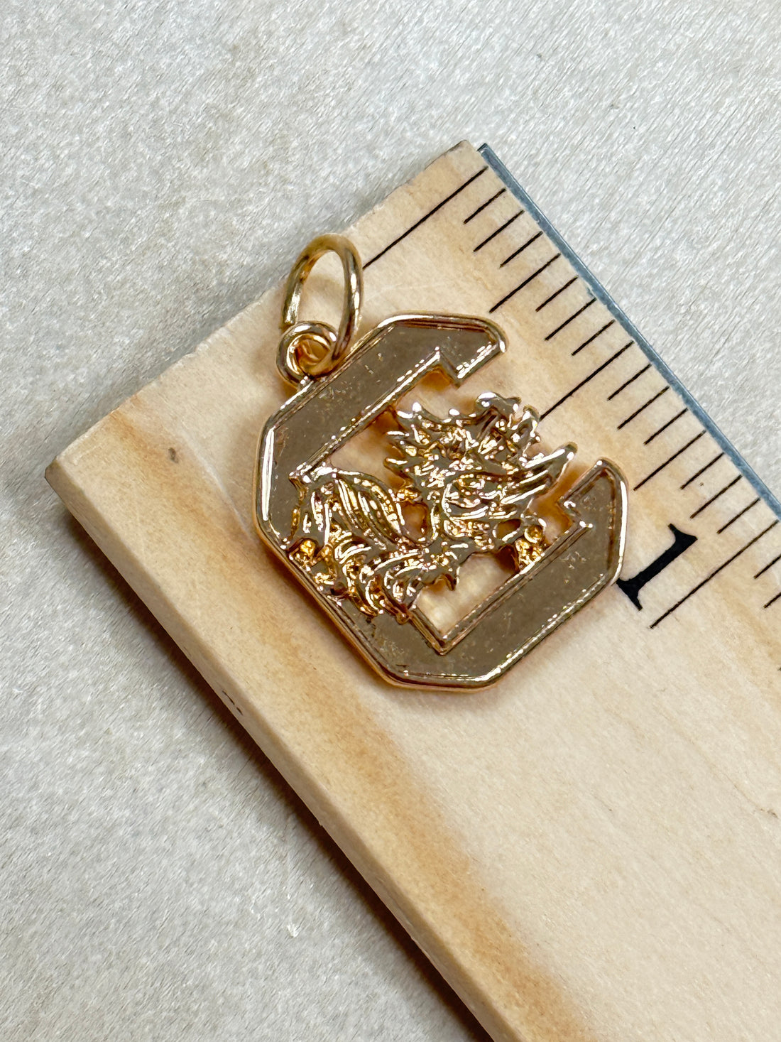 South Carolina Gamecocks Charm