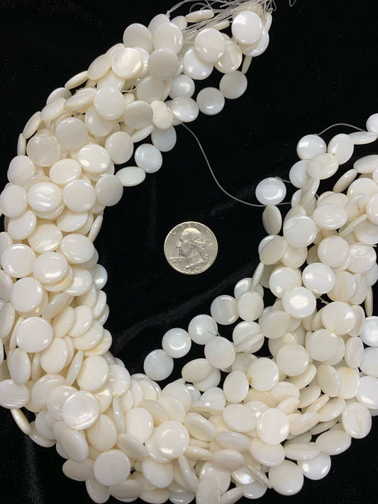 Coin Shell 13mm white bead (1or4) strands #BE