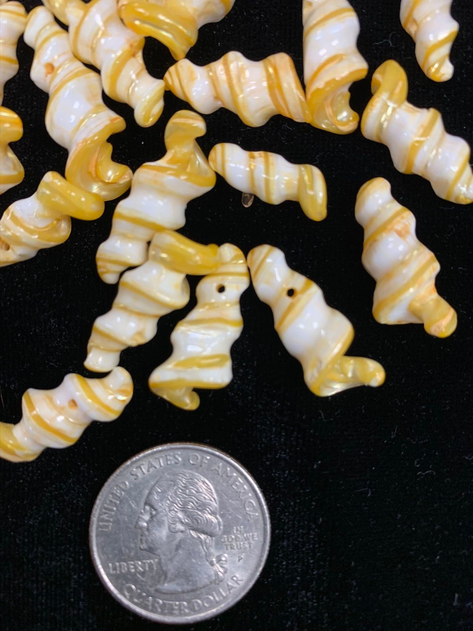 Unicorn Shell beads, 20 pieces