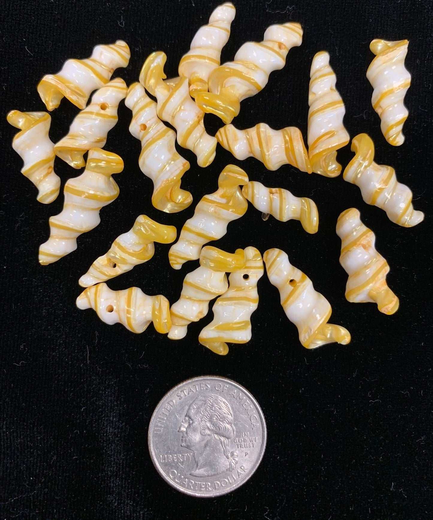 Unicorn Shell beads, 20 pieces