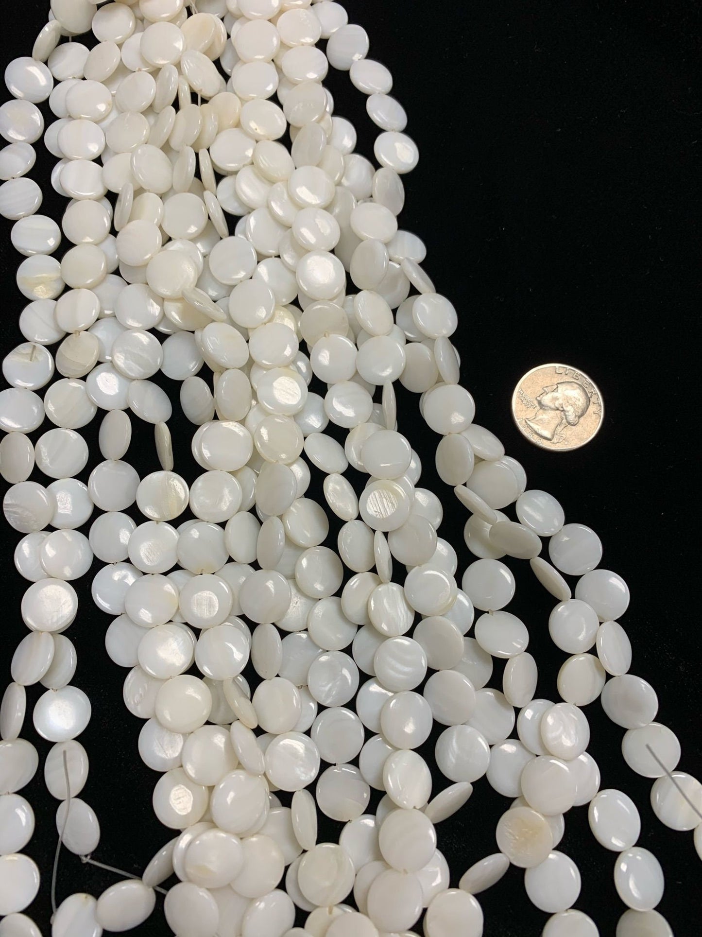 Coin Shell 13mm white bead (1or4) strands #BE