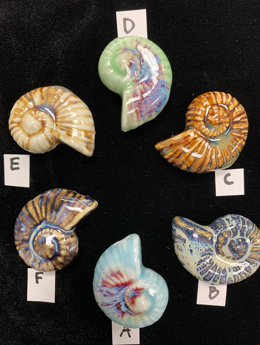 Ceramic Ammonite Pendant, 2 pc multi-color, center drilled #BE